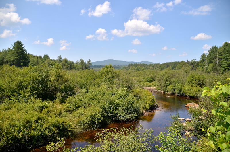 STREAM WINDING ITS WAY THROUGH PUFFY GREEN FOLIAGE WITH A BRIGHT BLUE SKY AND A FEW CLOUDS